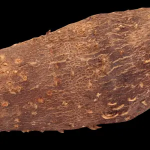 Nature's Bounty: Fresh and Nutrient-Rich Yam for Unforgettable Culinary Delights