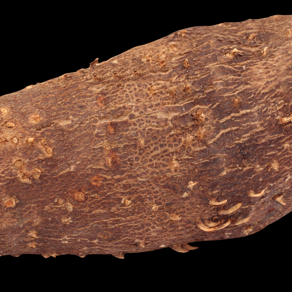 Nature's Bounty: Fresh and Nutrient-Rich Yam for Unforgettable Culinary Delights