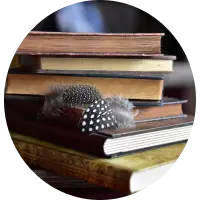 Books and Literature