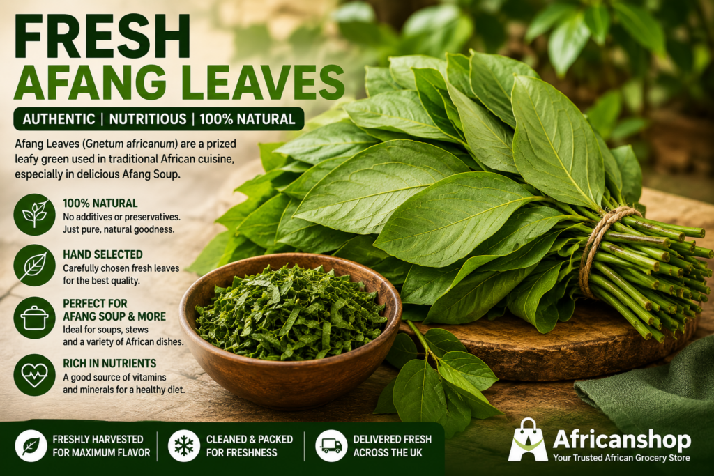 Fresh Afang leaves vegetable used for authentic Nigerian afang soup and African recipes