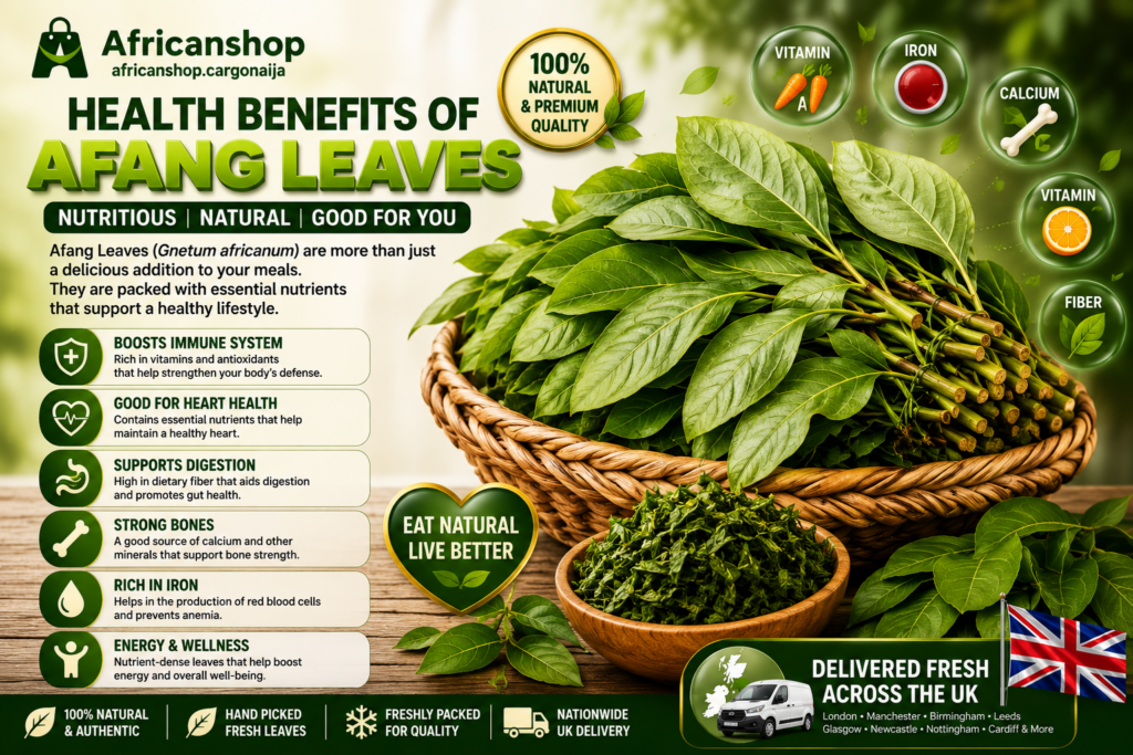 Health benefits of afang leaves rich African leafy vegetable used in Nigerian cooking